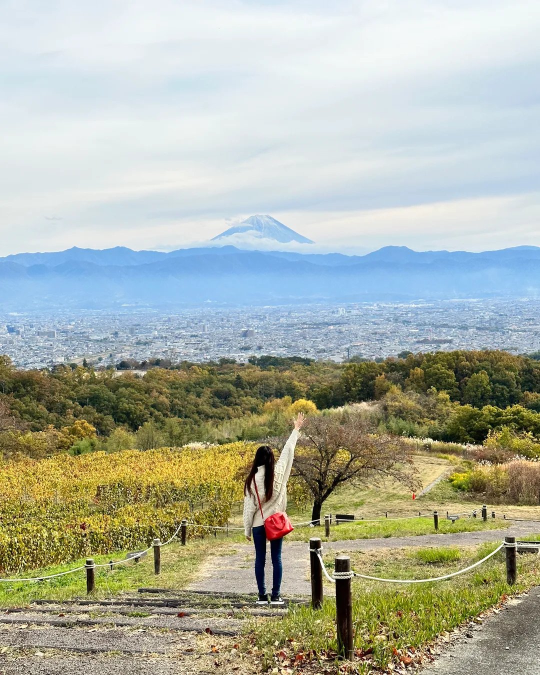 🍷 산토리 토미노오카 와이너리 이미지 5